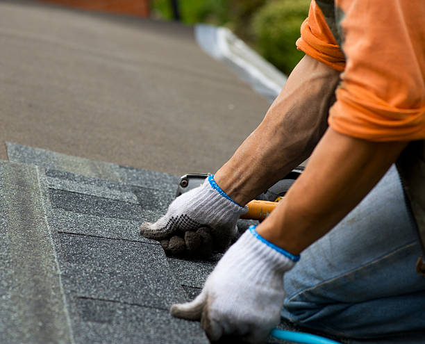 Best Roof Gutter Cleaning  in Jackson Center, OH