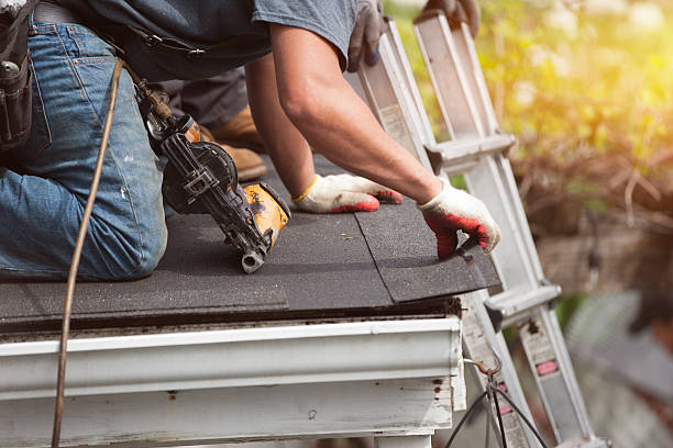 Best Roof Gutter Cleaning  in Jackson Center, OH